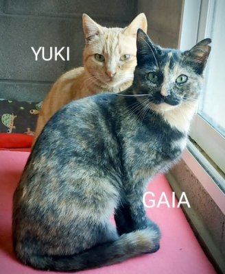 21 03 30 Yuki y Gaia-WA0014